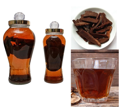 Tác dụng của nấm lim xanh ngâm rượu rất tốt cho sức khỏe con người Tác dụng của nấm lim xanh ngâm rượu rất tốt cho sức khỏe con người