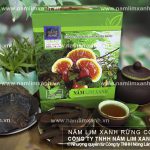 Tác dụng nấm lim xanh chữa bệnh gì cách uống nấm lim rừng đúng
