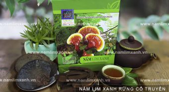 Tác dụng nấm lim xanh chữa bệnh gì cách uống nấm lim rừng đúng