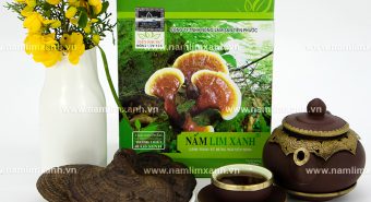 Tác dụng nấm lim xanh Quảng Nam với cách dùng nấm lim tự nhiên