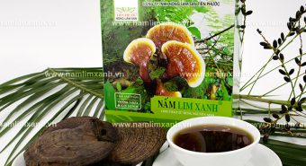 Tìm hiểu về nấm lim xanh và công dụng chữa bệnh nấm lim xanh rừng